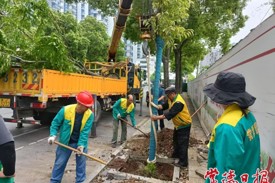 常德市园林绿化服务中心扮靓城市迎“五一”