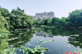 “绿宝石”滨湖公园
