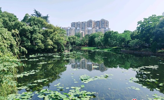 “绿宝石”滨湖公园