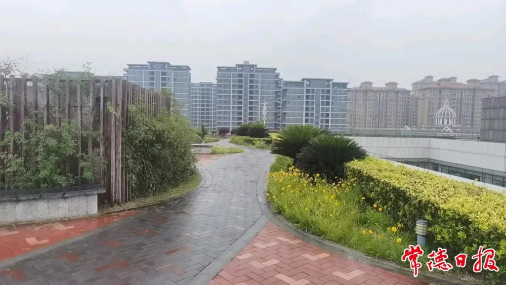 03柳叶湖行政中心楼顶的风景依然