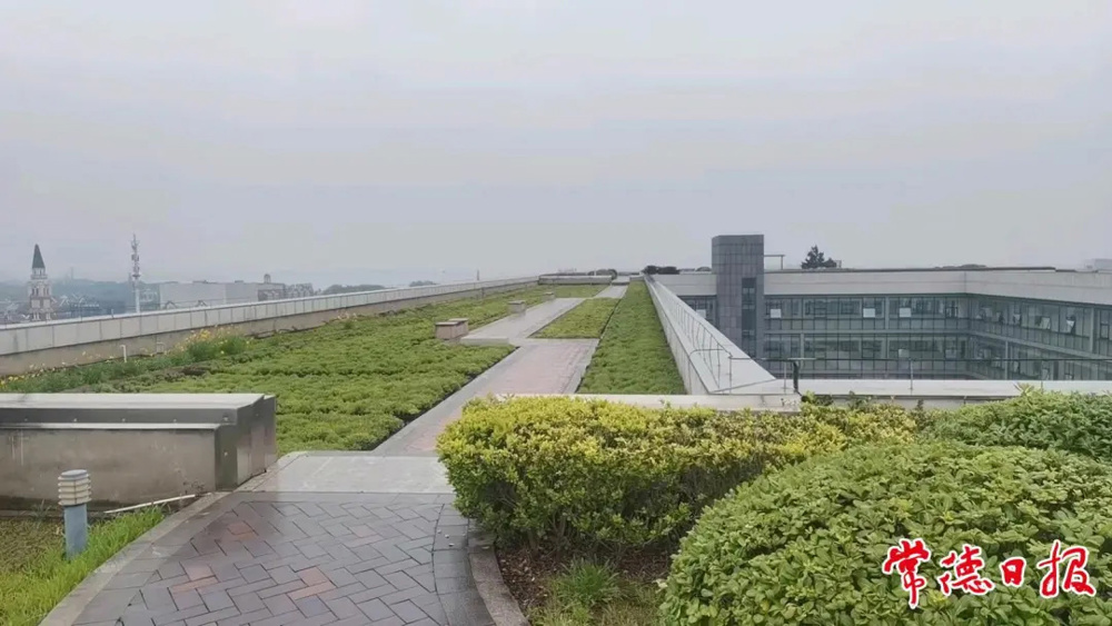 04柳叶湖行政中心楼顶的风景依然