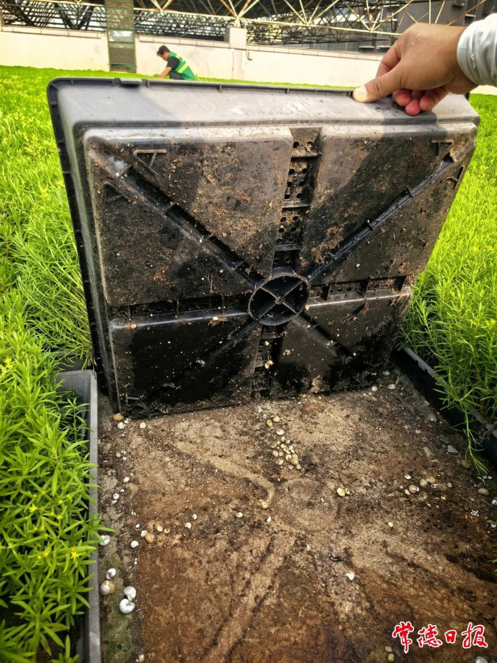07历经数年风霜的绿化专用容器坚固如初