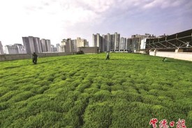 屋顶绿化扮靓文明城市