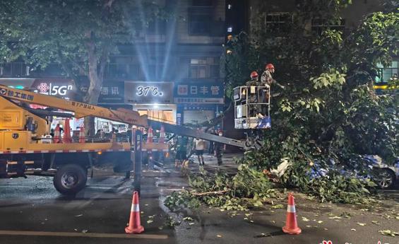 暴雨中的“绿色守护者”为城市交通破障