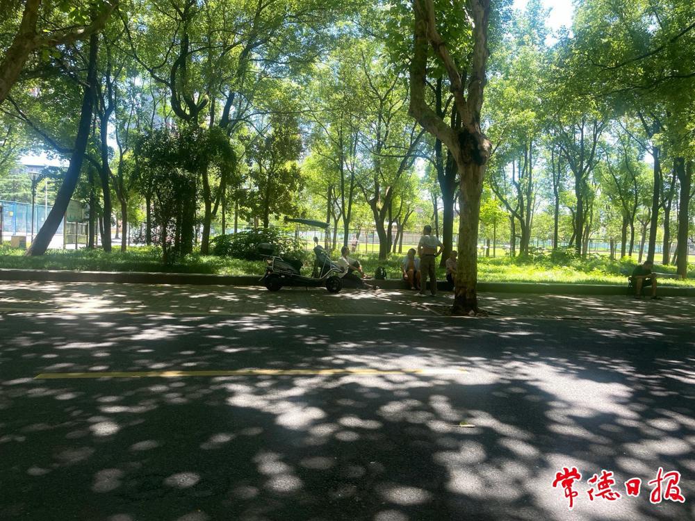 08体育东路浓淡相宜的绿，是写给夏日常德的情诗