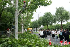 西藏山南市城管执法局代表团来常考察学习园林绿化精细化管理经验