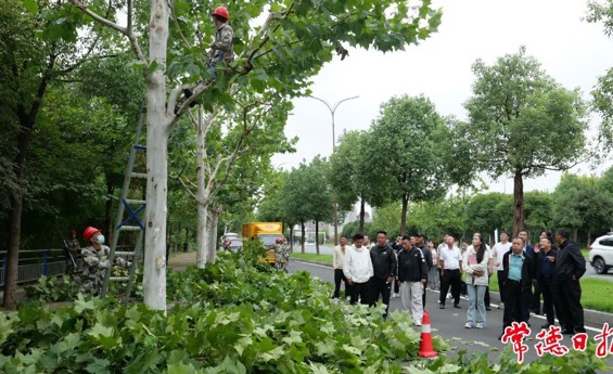 西藏山南市城管执法局代表团来常考察学习园林绿化精细化管理经验