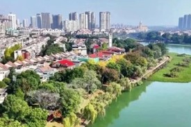 新华社丨常德：穿紫河畔银杏林美如画卷