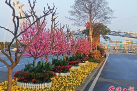 常德市城区“繁花”上线 春节氛围感拉满