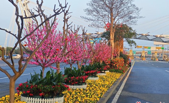 常德市城区“繁花”上线 春节氛围感拉满