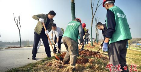 常德市城管系统挥锹添新绿