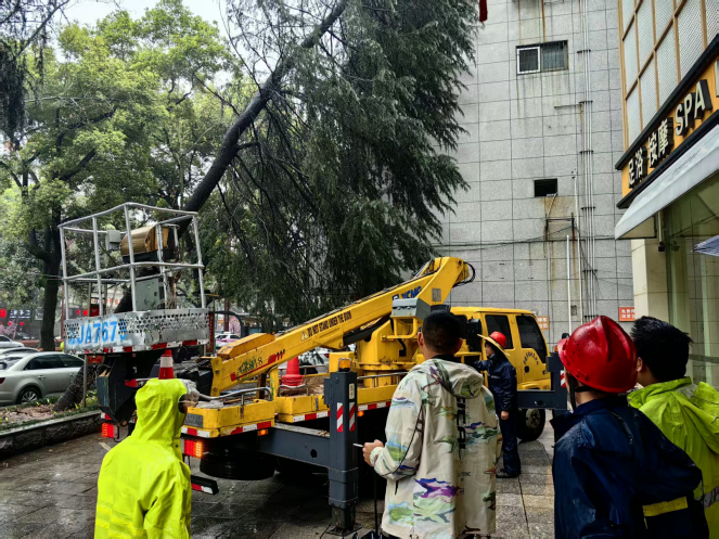 /home/cdyl/桌面/图片1.png图片1