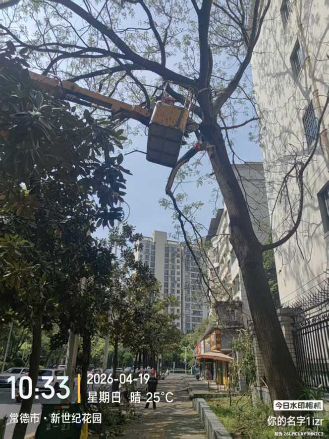 /home/cdyl/桌面/图片3.png图片3