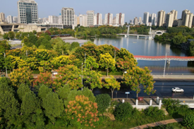 常德市城管执法局全面提升城市园林绿化管养质效