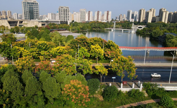 常德市城管执法局全面提升城市园林绿化管养质效