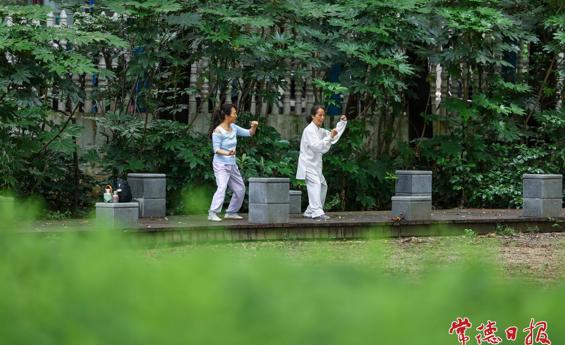 常德放晴迎仲夏 市民公园里乐享绿美生活
