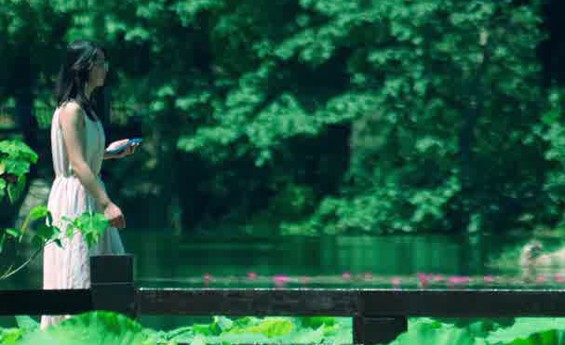 夏日限定浪漫！在家门口解锁满池荷香~
