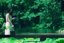 夏日限定浪漫！在家门口解锁满池荷香~