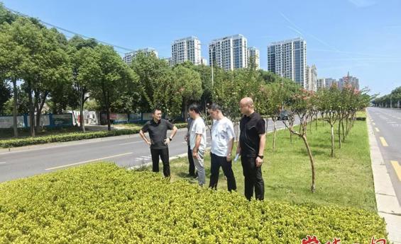 提前谋划科学调度 常德市园林绿化服务中心实地调研抗旱保苗工作