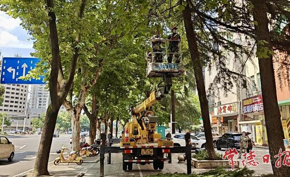 常德园林部门抢先行动修剪行道树 积极应对台风“红霞”