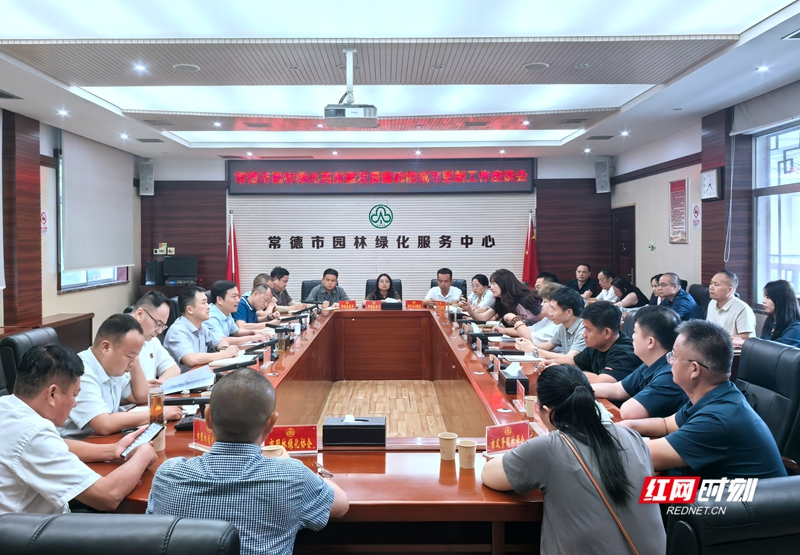 座谈会现场