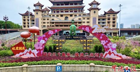 满城繁花迎国庆 常德街头“盛装”待客