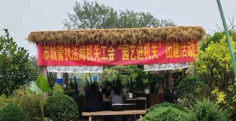 邂逅绿意·巧手植趣——市城管执法局机关工会开展绿植DIY团建活动